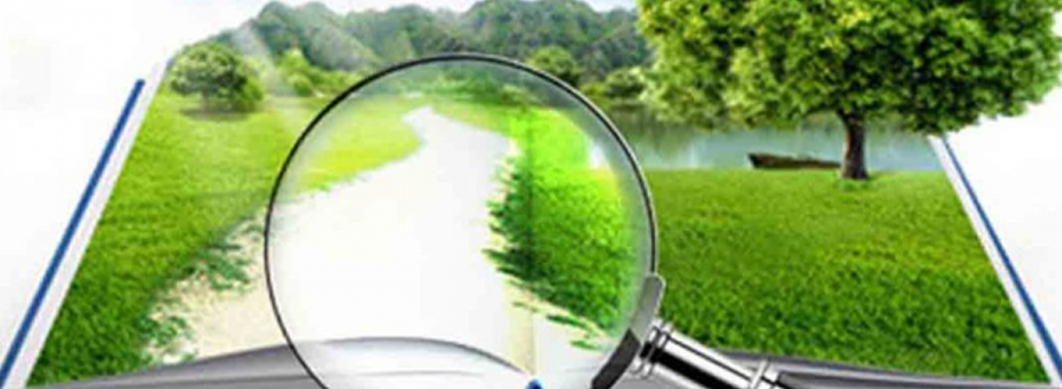﻿Результати здійснення державного нагляду (контролю) у сфері використання та охорони земель на території Луганської області