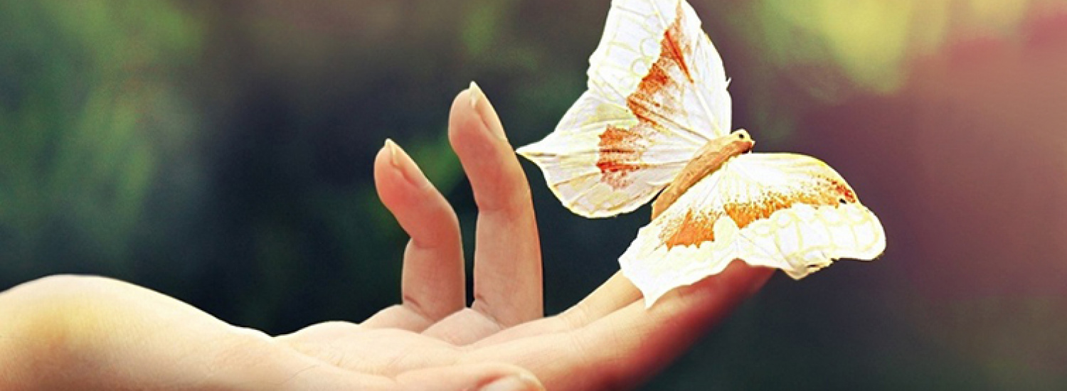 Єдність людської природи