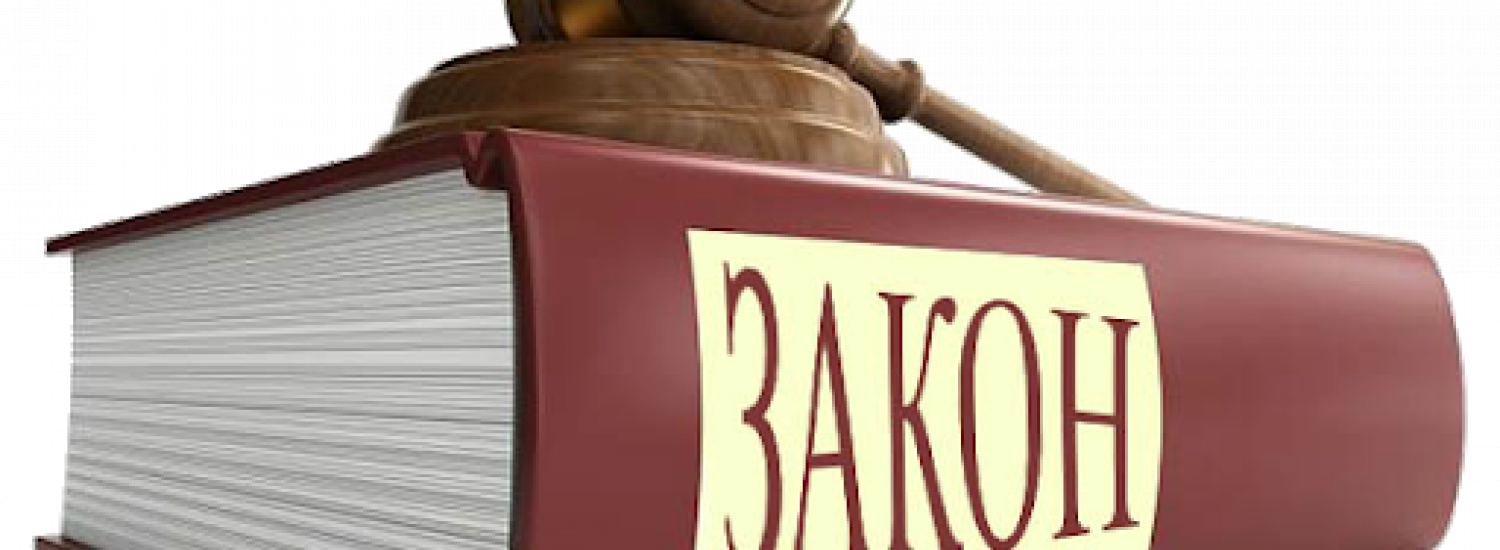 ﻿Від учора в Україні діє Закон про інвентаризацію лісів: зміни може відстежувати кожен