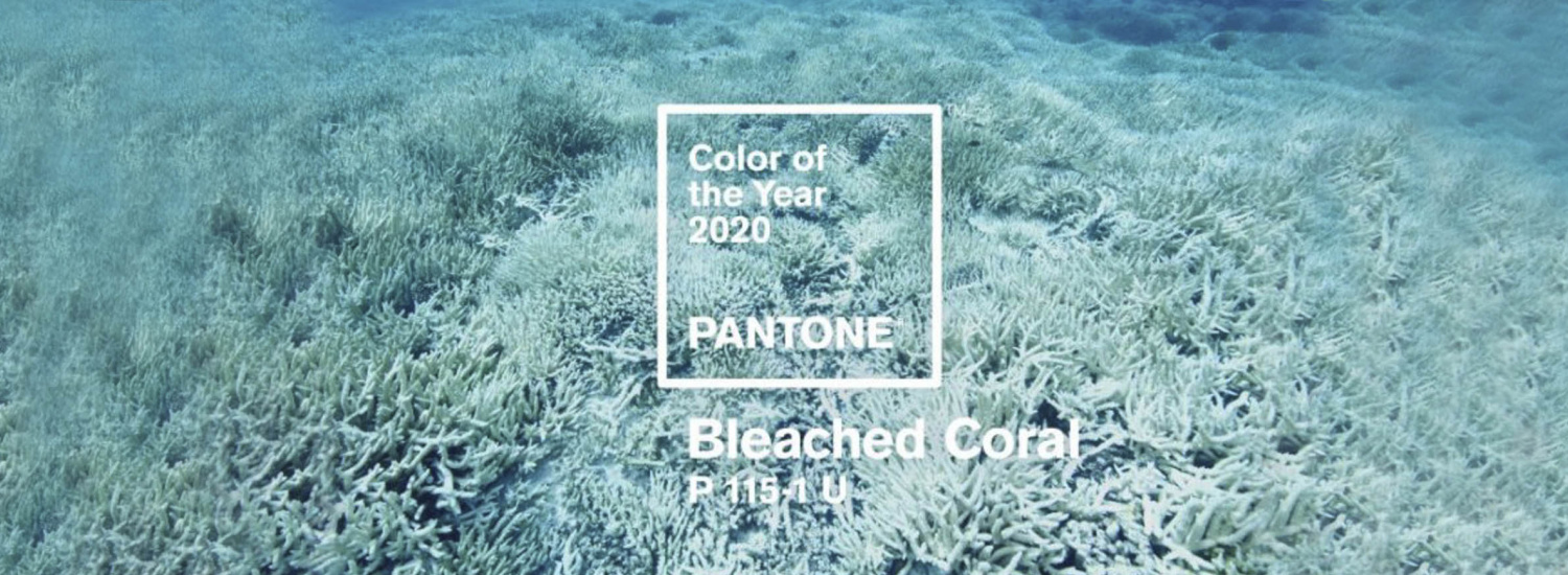 ﻿Модна палітра кольорів Pantone: осінь-зима 2020\2021