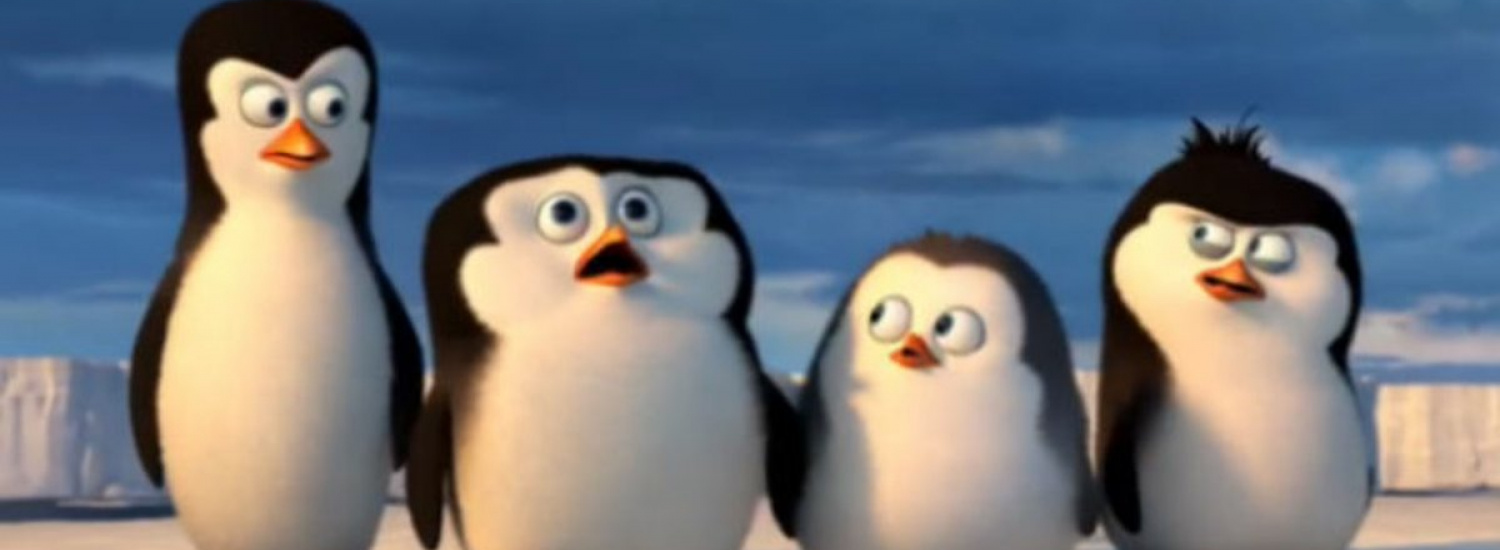 ﻿Курйозні знімки пінгвінів, які вдають із себе шпигунів