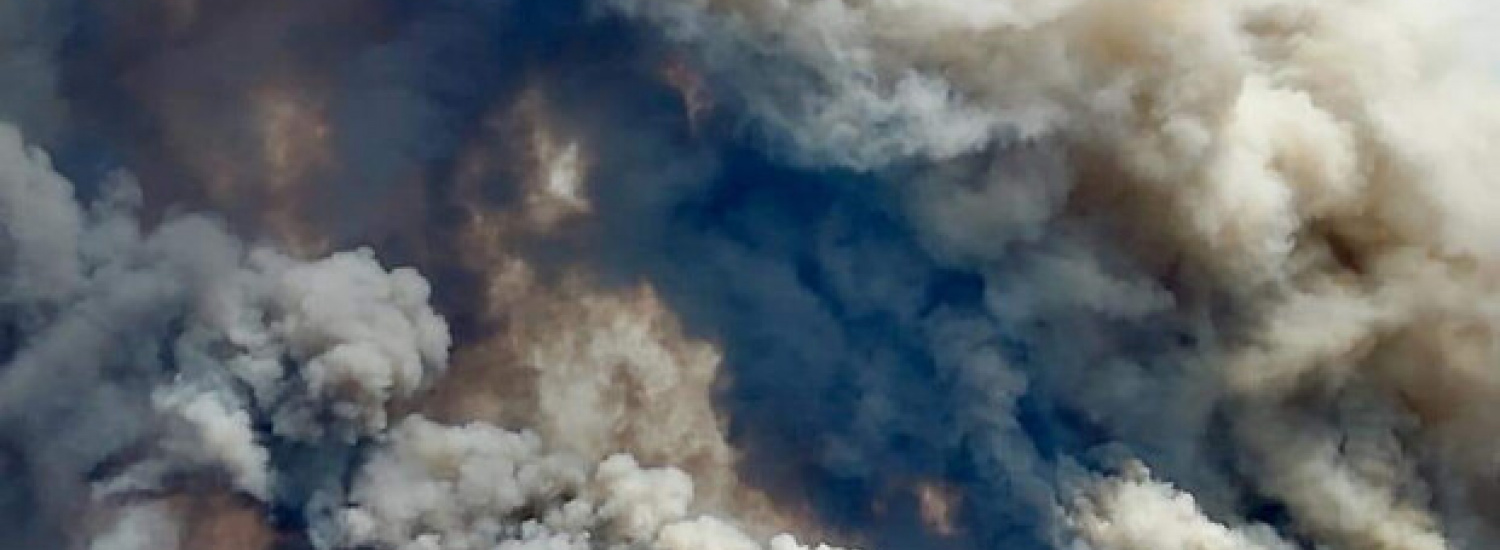 Пожежа у Луганській області ліквідовано – громадськість чекає висновків