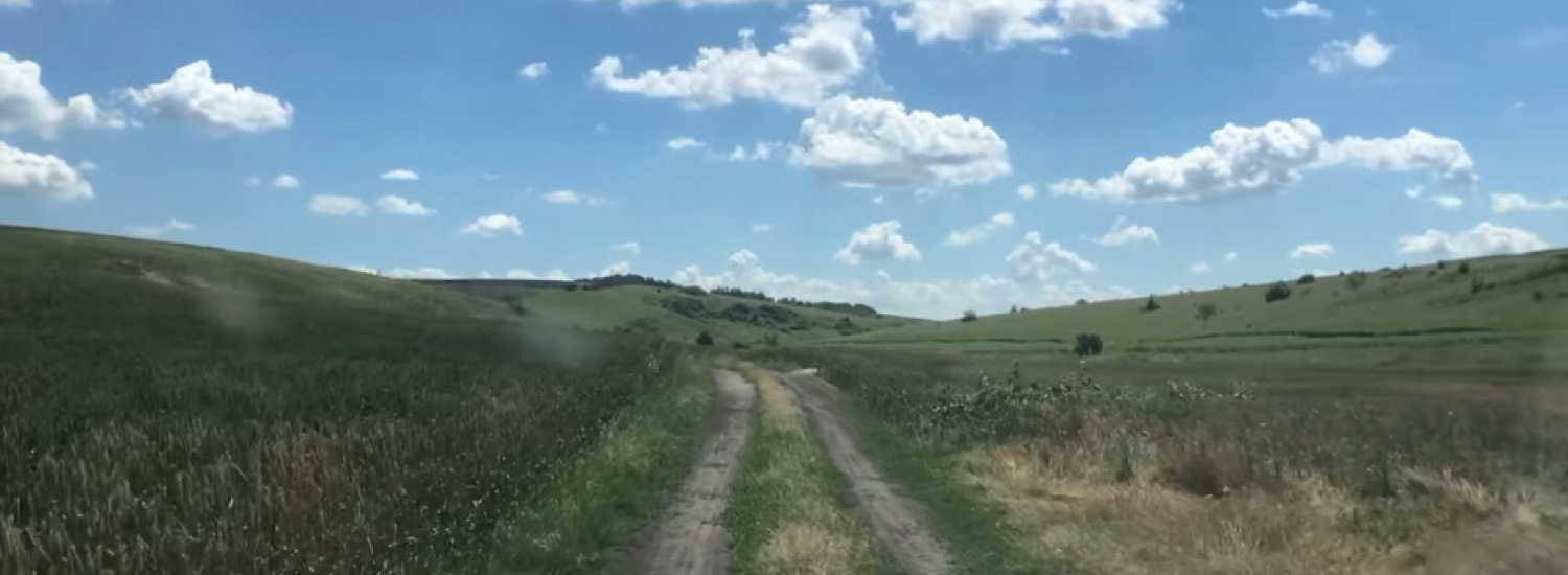 У Луганській області незаконно використовуються землі сільськогосподарського призначення