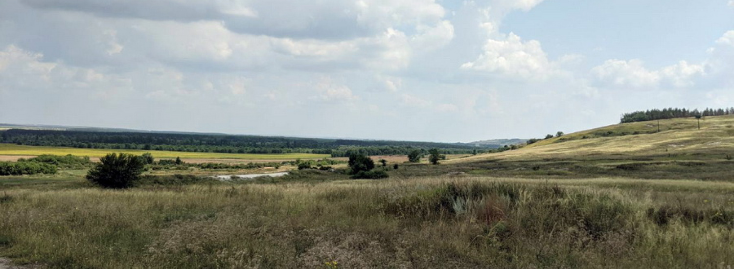 Поліція Новопсковщини організувала цілодобове чергування на незаконно засіяних землях