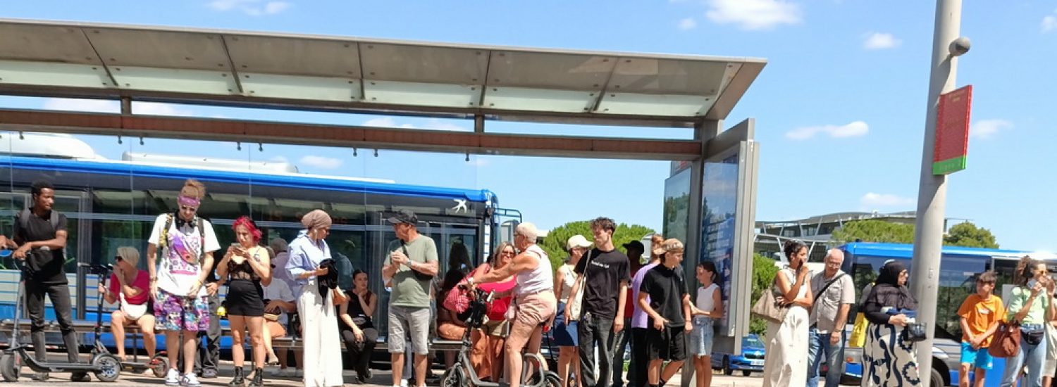 Не кидайте мене в терновий кущ, там мій дім
