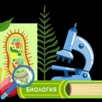 Відбулося зовнішнє незалежне оцінювання з біології: деталі