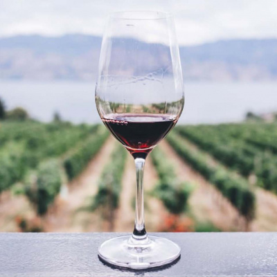 Позбавитися забудькуватості допоможе червоне  вино: науковий експеримент