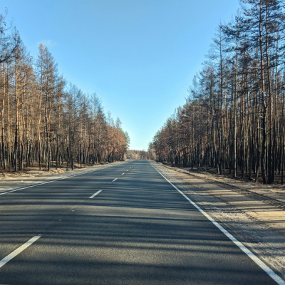 Громадськість хоче розібратися з причинами пожеж на Луганщині, - ОДА проти