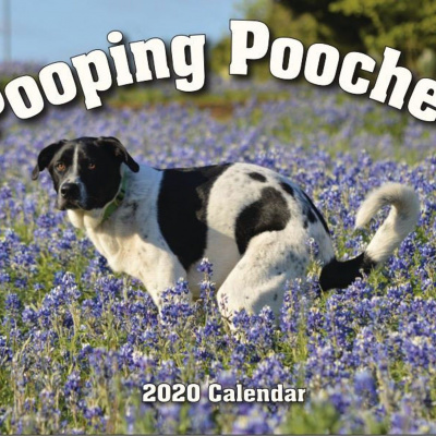 Новий тренд: у продажу з'явився календар із собаками, які випорожняються