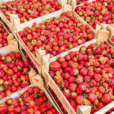 В этом году в Украине клубника «на вес золота»: как украинцы справляются с колоссальными ценами