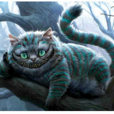 Бути чи не бути: кіт-філософ змусив соцмережі реготати (ВІДЕО)