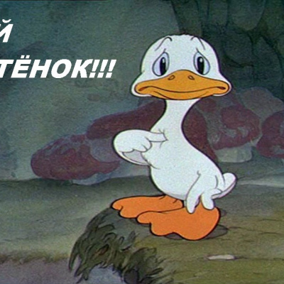 Фото знаменитостей, які раніше були гидкими каченятами