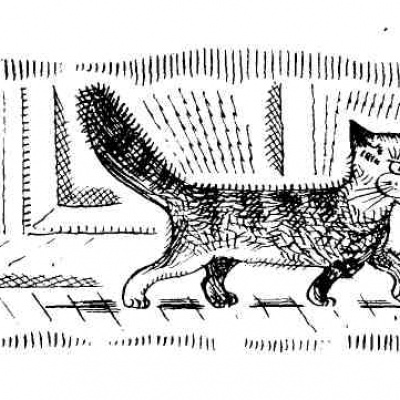 Кіт товстун не зміг злізти з дерева: на допомогу прийшла нога рятівника