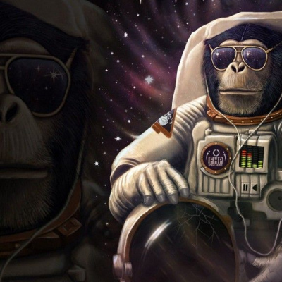 У Малайзії мавпа поцупила з будинку телефон та намагалась його з'їсти