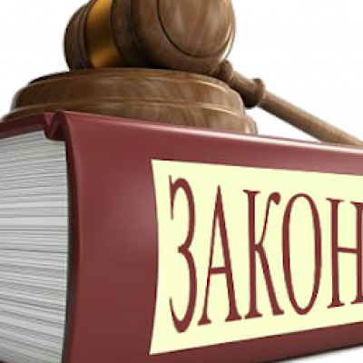 Від учора в Україні діє Закон про інвентаризацію лісів: зміни може відстежувати кожен