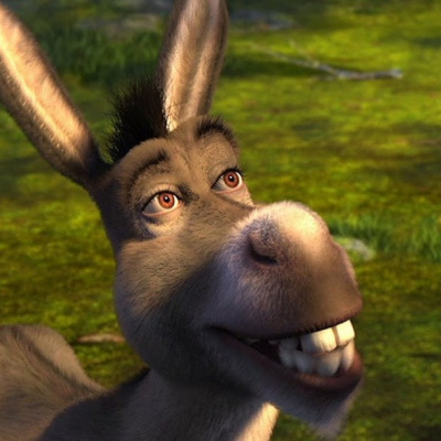 Кумедні віслюки, які зроблять ваш день (ФОТО)