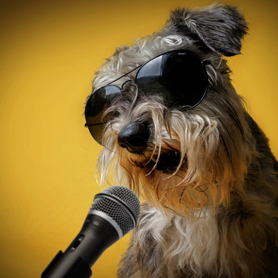 Пес виконав приголомшливу пісню і став зіркою мережі (ВІДЕО)