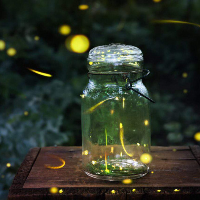 Чому світлячки світяться: детальний розгляд явища