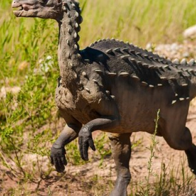 На пляжі знайдено слід динозавра, якому близько 220 млн років (ФОТО)