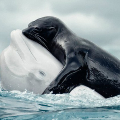 23 дивовижних фото природи, які змусять вас сказати Вау!