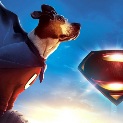 У мережі показали суперпса, який вміє швидко переміщатися до холодильника