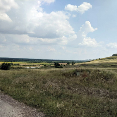 Поліція Новопсковщини організувала цілодобове чергування на незаконно засіяних землях