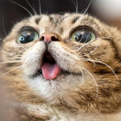 І сміх, і гріх: коли ПІБ у паспорті ще гірше, ніж фотографія