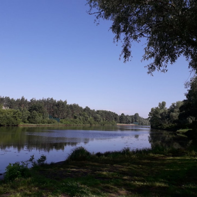 ﻿Керівники СЕС заявляють, що місцевій владі Вишгороду не потрібна чиста вода