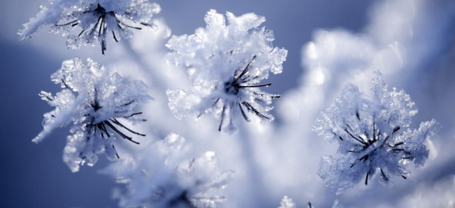 Всесвітній день снігу