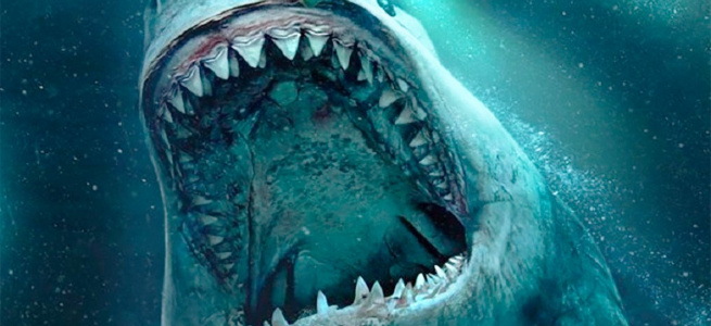 ﻿Американець відкопав рекордно великий зуб акули-мегалодону (ФОТО)