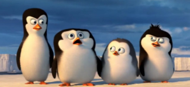 ﻿Курйозні знімки пінгвінів, які вдають із себе шпигунів
