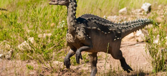 ﻿На пляжі знайдено слід динозавра, якому близько 220 млн років (ФОТО)