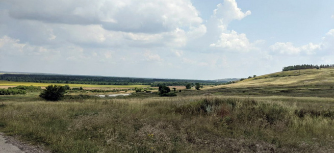 Поліція Новопсковщини організувала цілодобове чергування на незаконно засіяних землях