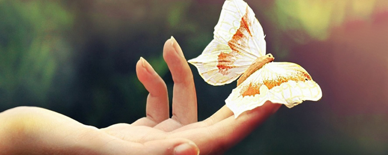 Єдність людської природи