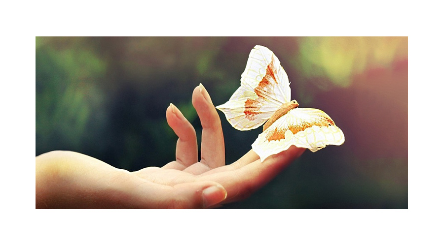 Єдність людської природи