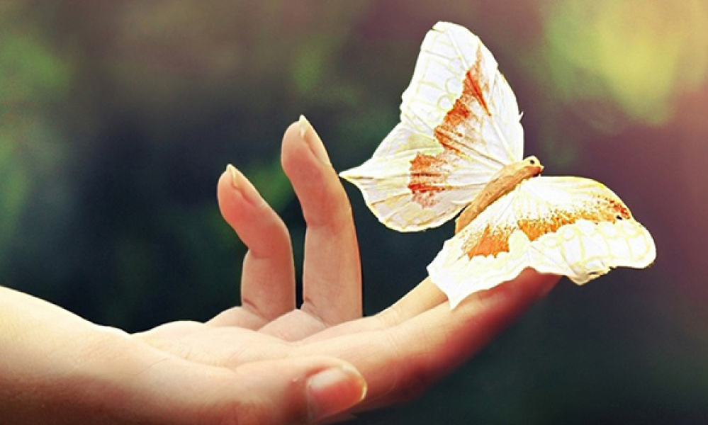 Єдність людської природи