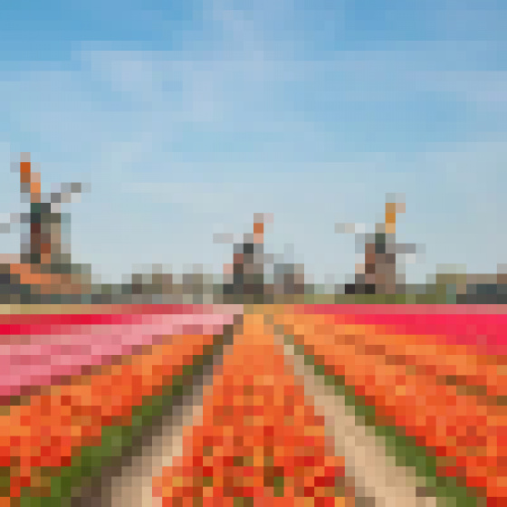 Чому Голландія стала багатою європейською країною, не маючи практично нічого