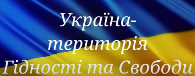 На Миколаївщині правоохоронці продовжують переслідувати добровольця «Гром»