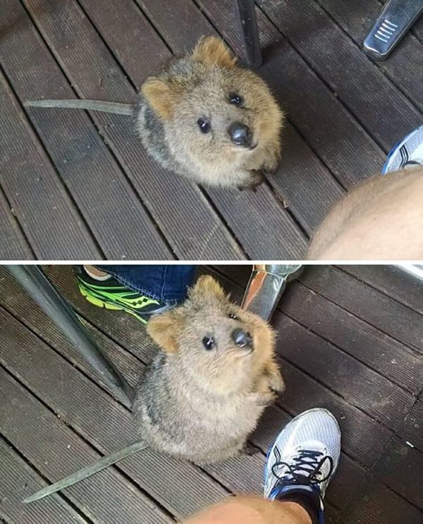 дружба 16