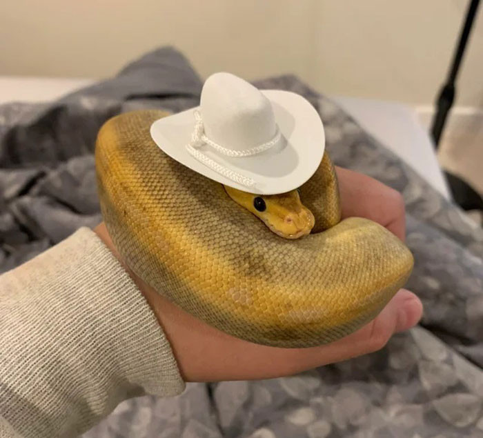 змік 1