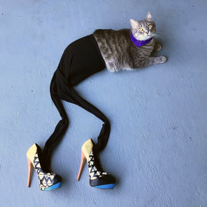 киша 1