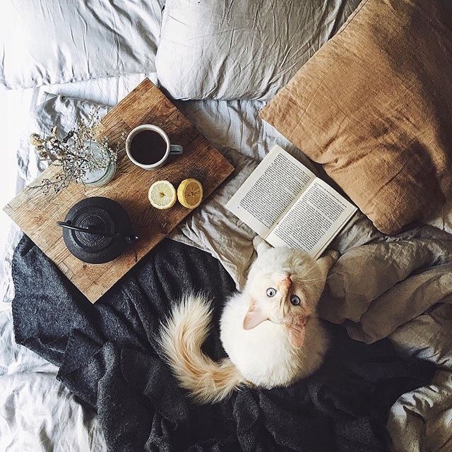 кофе в постель 7