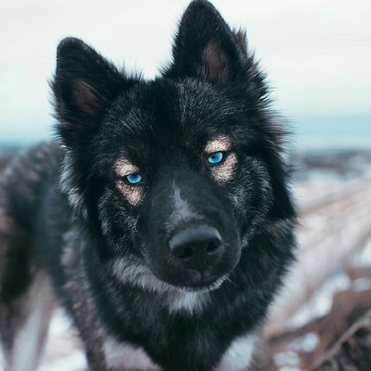 кра 3