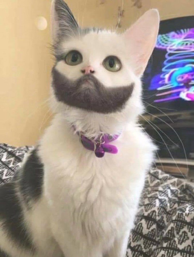 кра 4