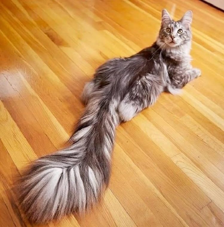 кра 6