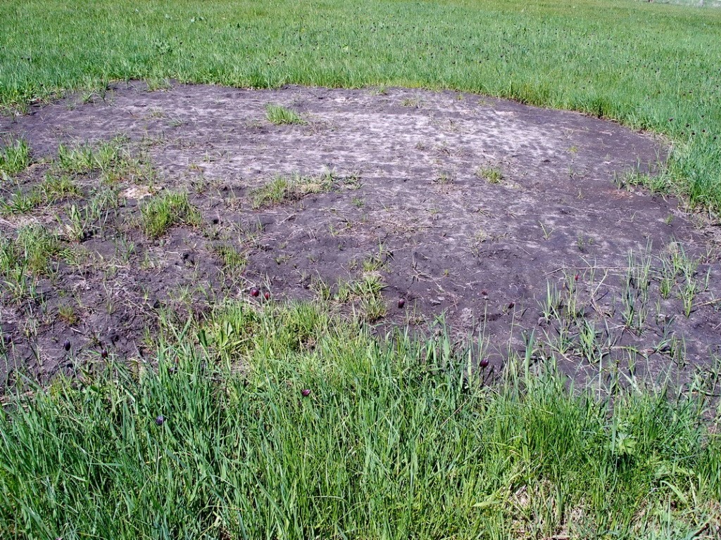 засипане загиблення