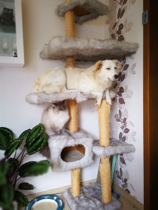 хто 2