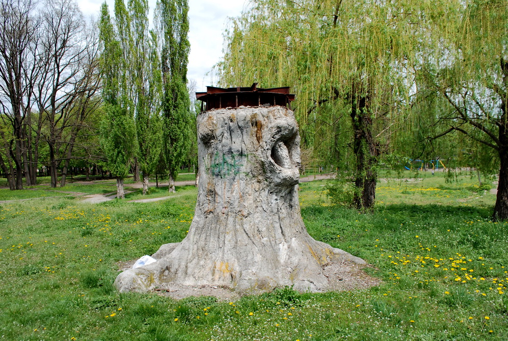 Дуб и кот